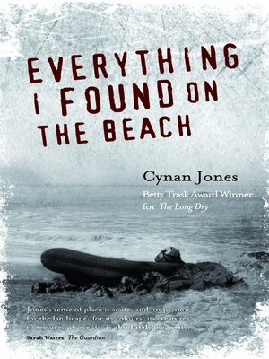 cover image of Everything I Found On the Beach